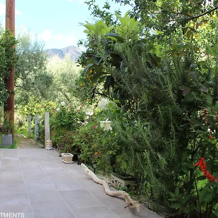 Rentoulia * Poúlithra