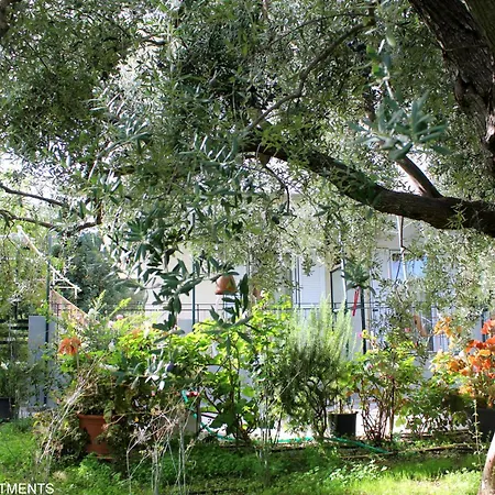 Apartment Rentoulia Poulithra