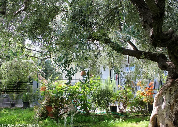 Apartament Rentoulia