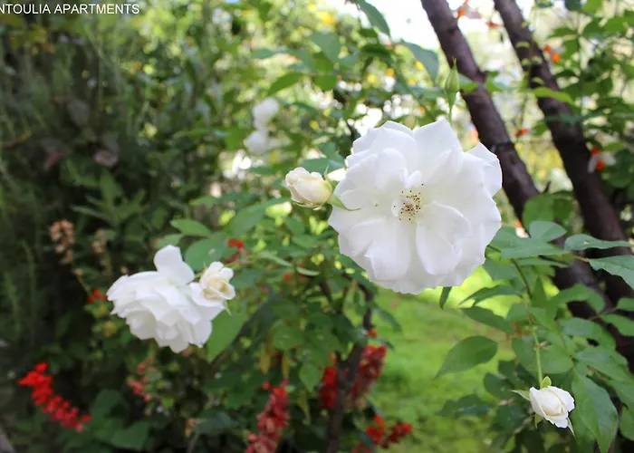 Rentoulia דירה Poúlithra